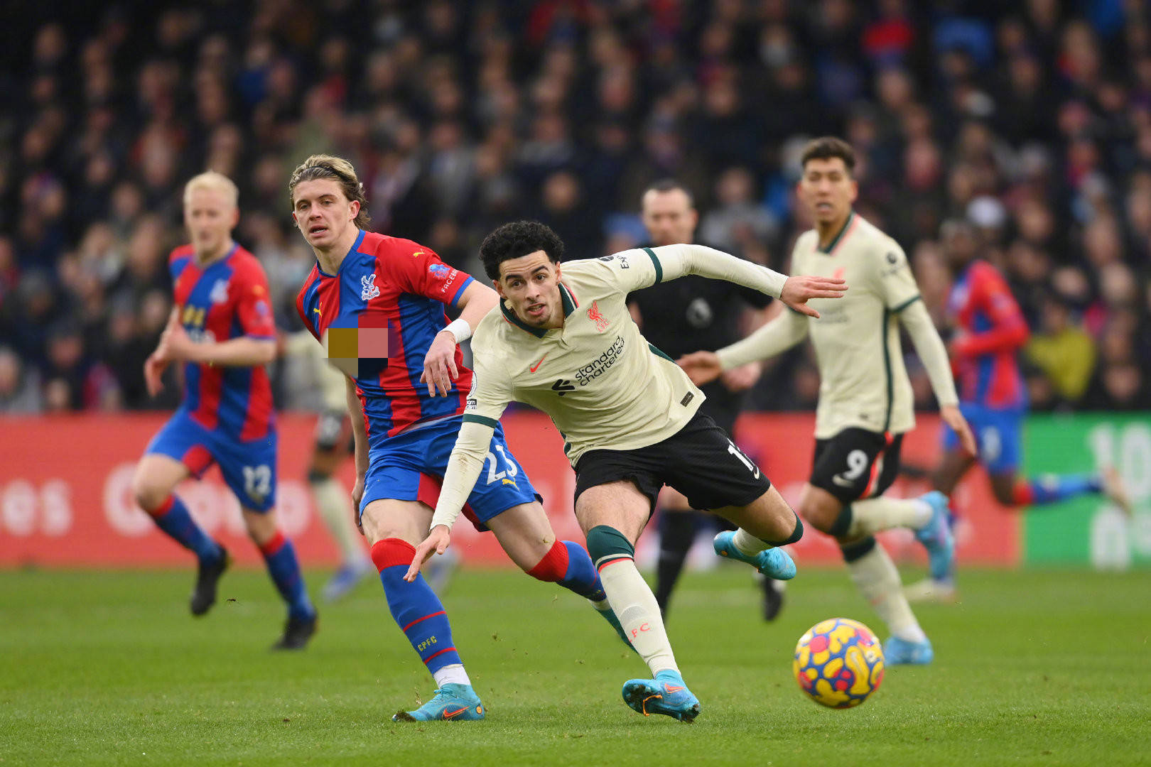 迷们贡献了 迷们贡献了